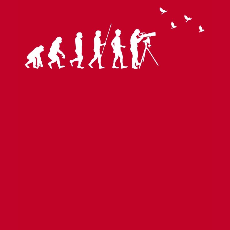 Observation des oiseaux - Observation des oiseaux - Evolution - fun