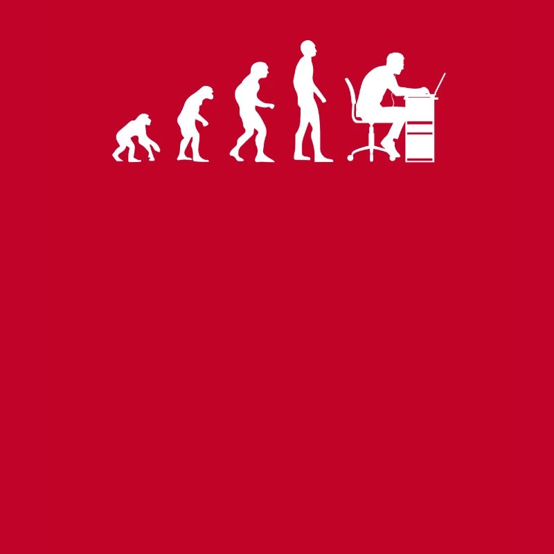 Programmer