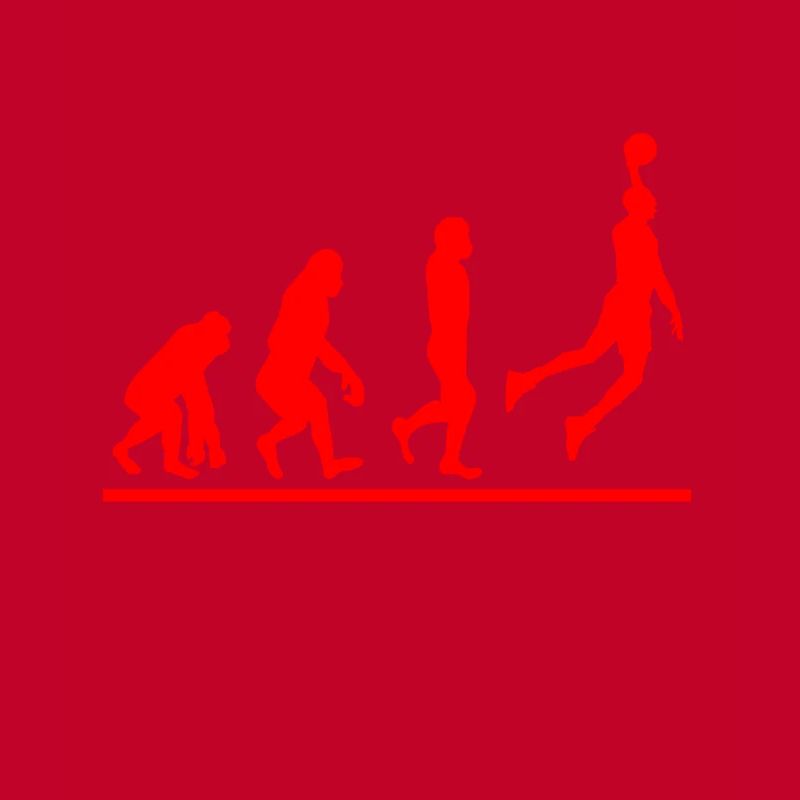 Basketball Evolution Korb werfen Dunk Geschenk