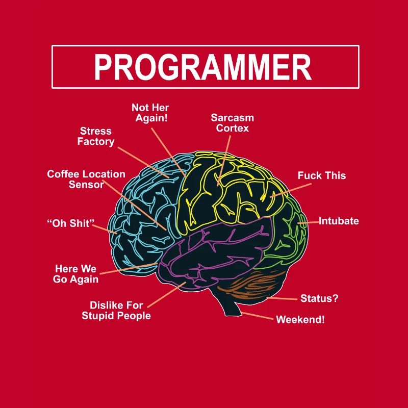 Programmeurs