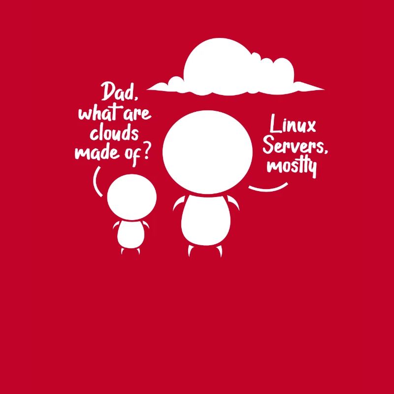software developer