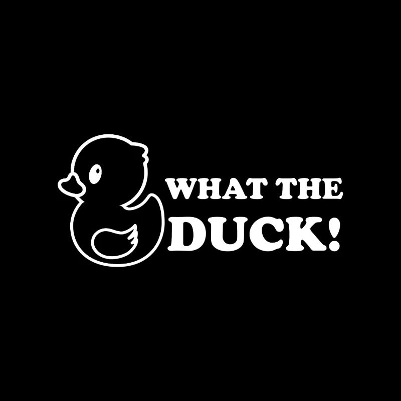 Ce que le canard