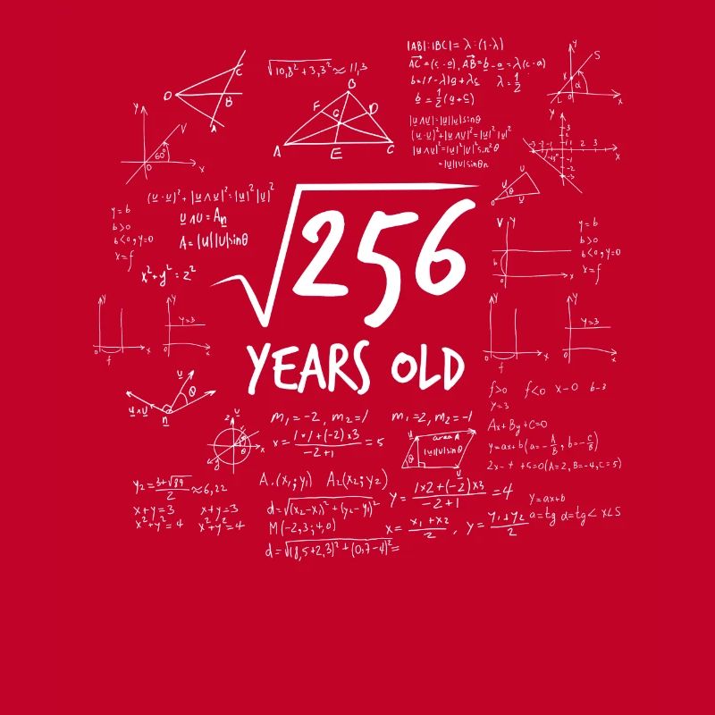16th birthday root from 256 math nerd