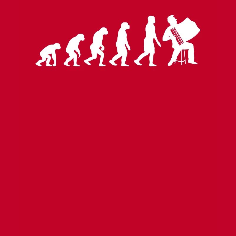 Akkordeon Evolution