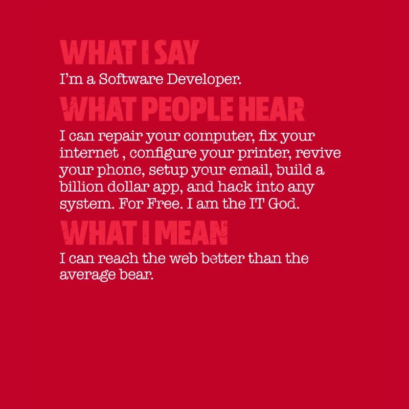 Software developer