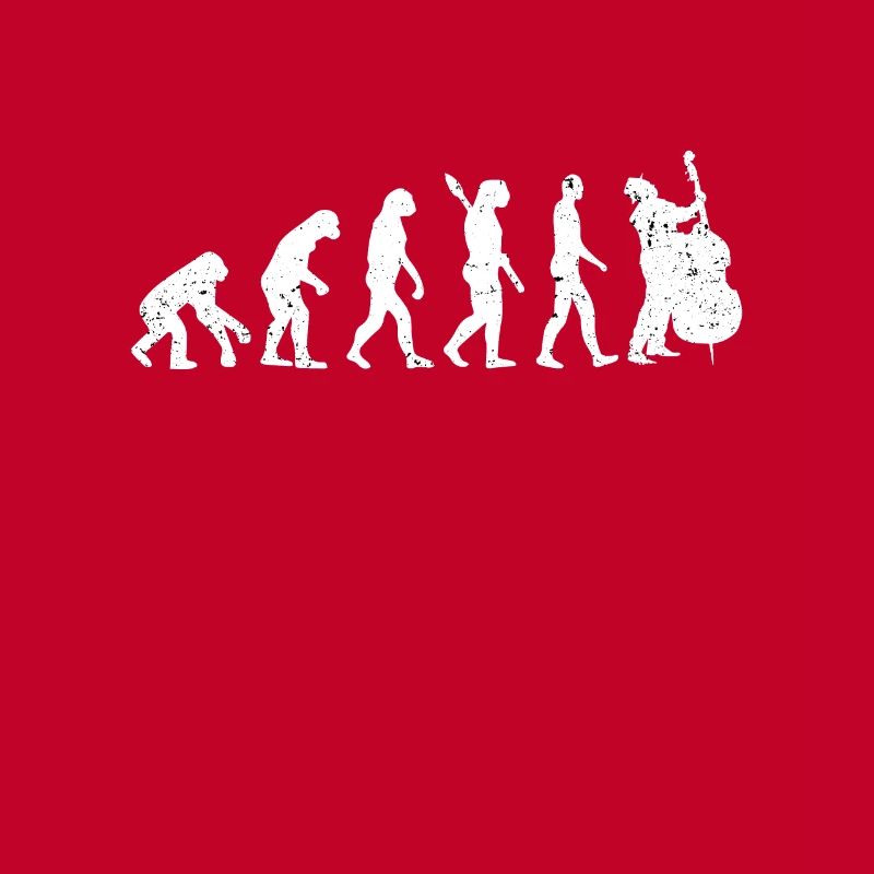 Kontrabass Evolution