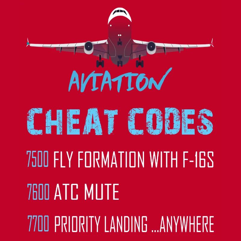 Aviation cheat codes