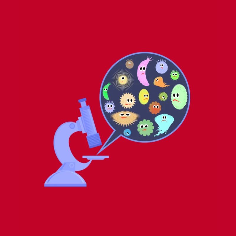 Germs under the microscope