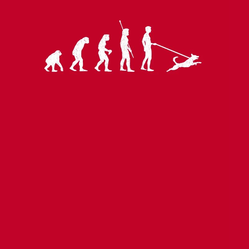 Promeneur de chien Evolution