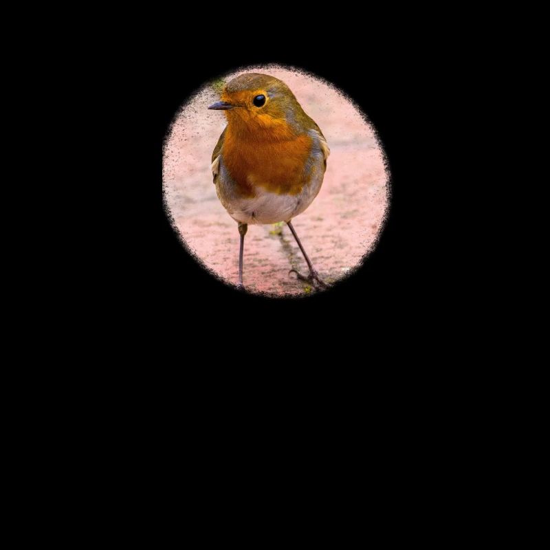 Robin Design
