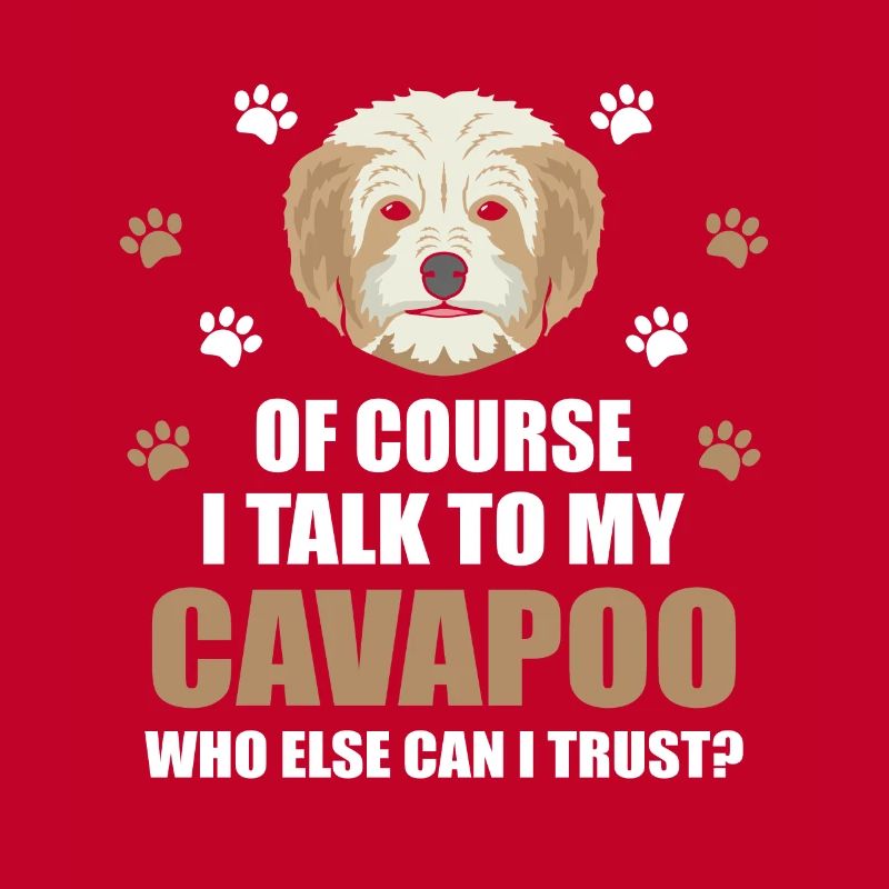 Cavapoo dog shirt gift idea