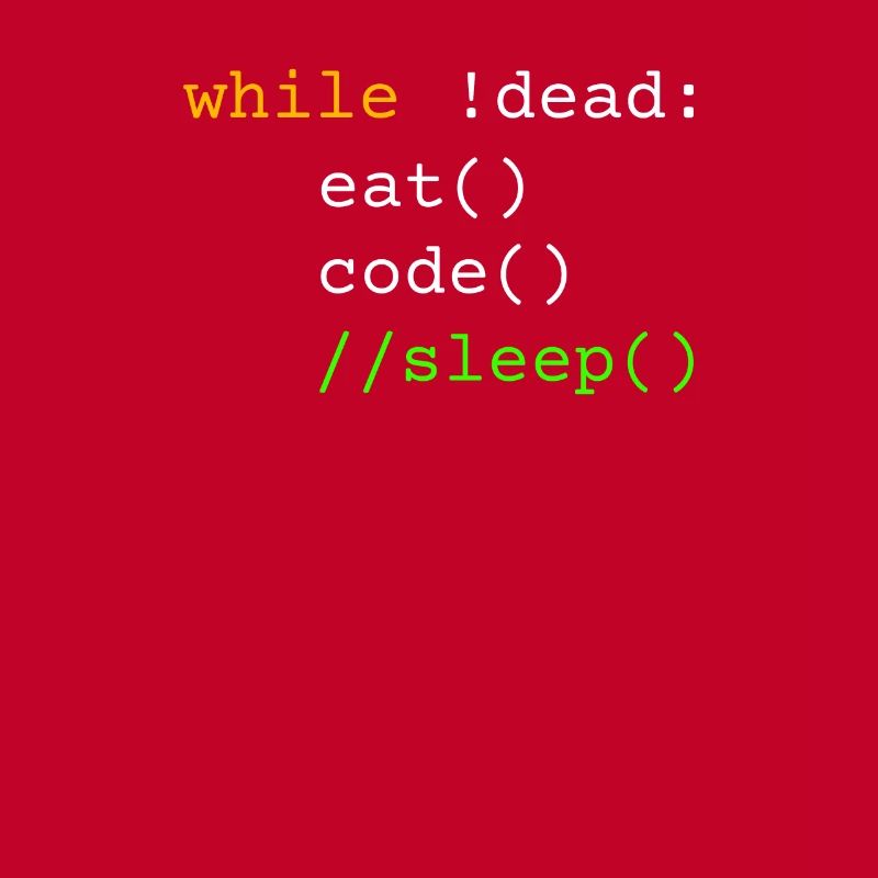Programmierer Geschenk