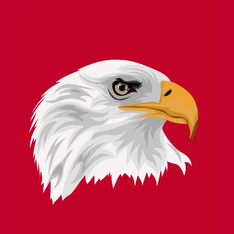 Bald eagle head with beak as a drawing