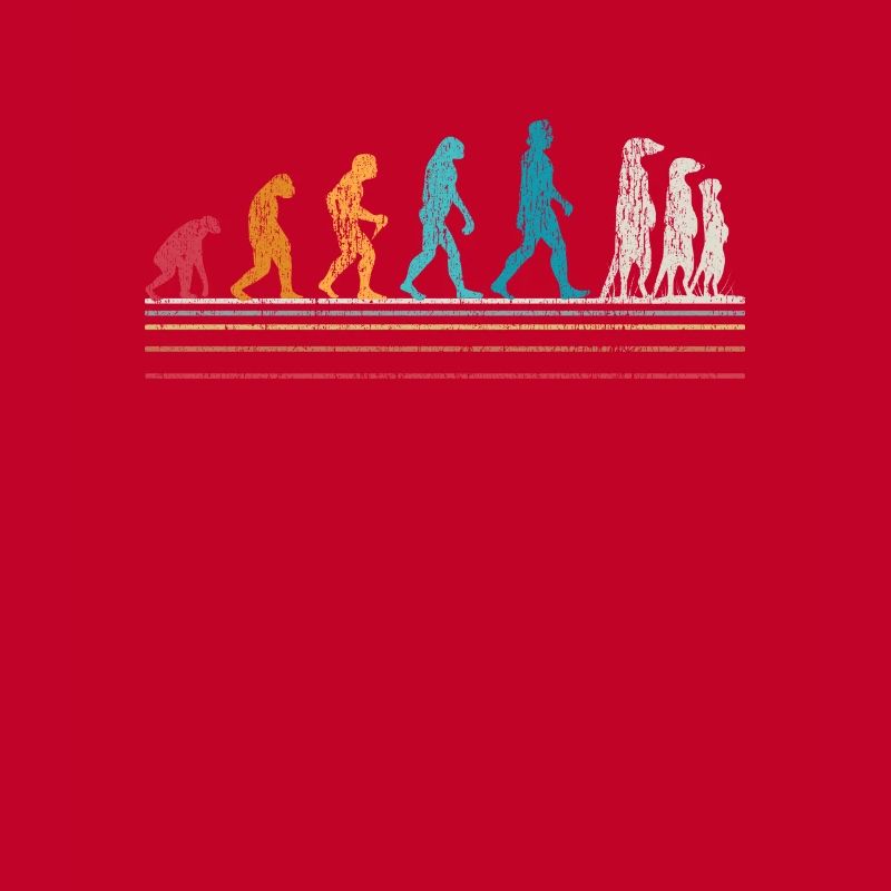 Suricate Evolution Suricate