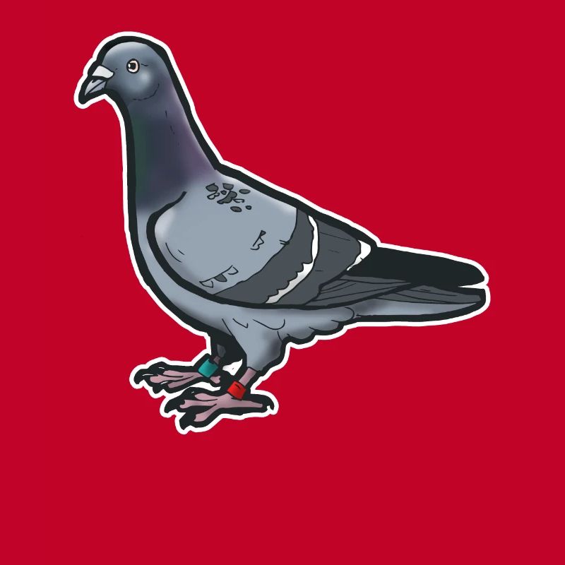 Comic Lustige Taube Vogel Geschenkidee Brieftaube