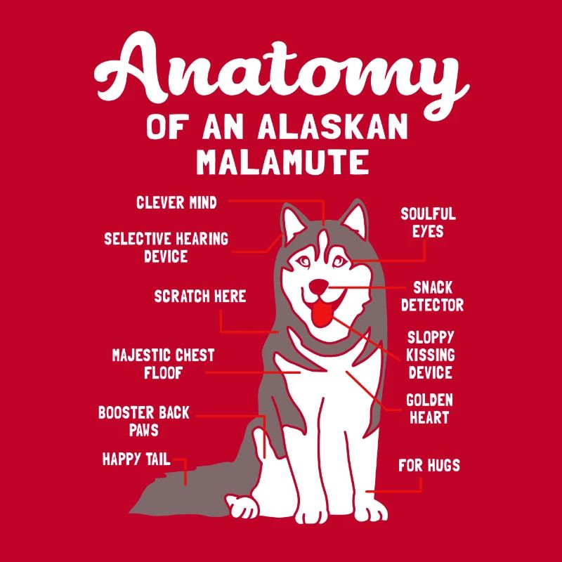 Malamute