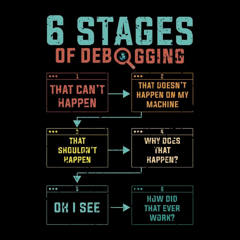 Programming 6 Stages of debugging