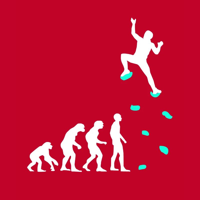 Climbing Evolution Climbing Handles Climbing Wall