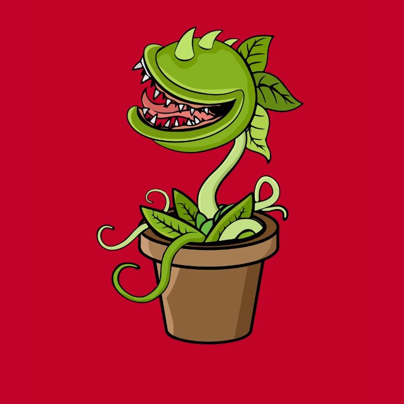 Carnivorous plant Venus flytrap