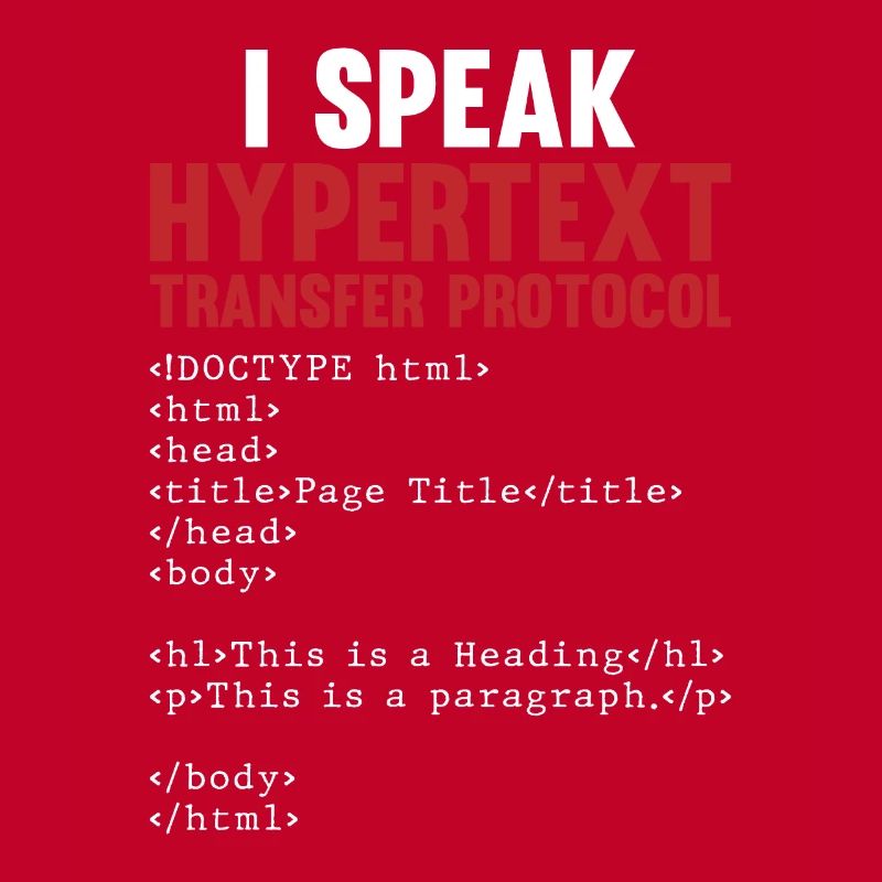 Programmer Coder Software Developer