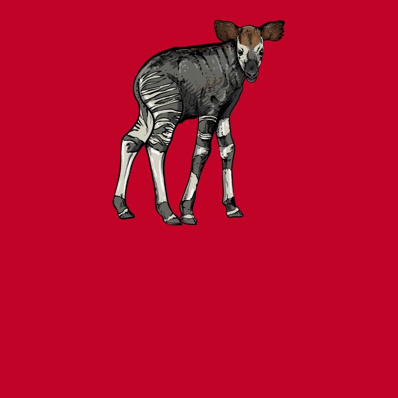Okapi I Forest Giraffe from the Rainforest for