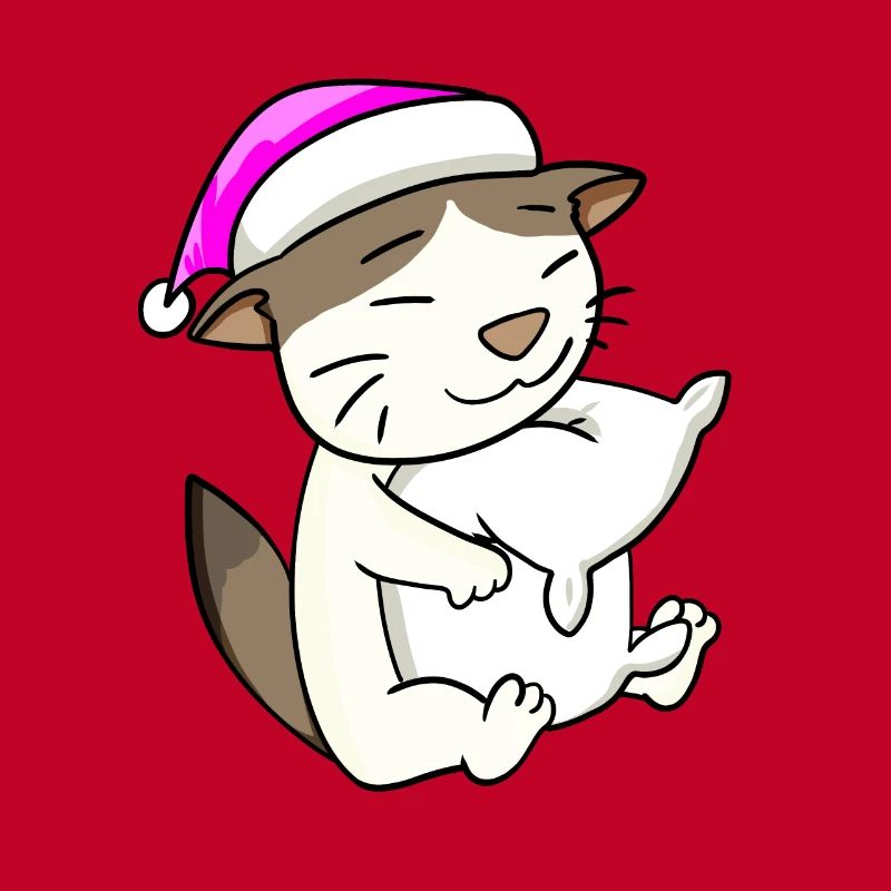 Chat race de chat RagaMuffin