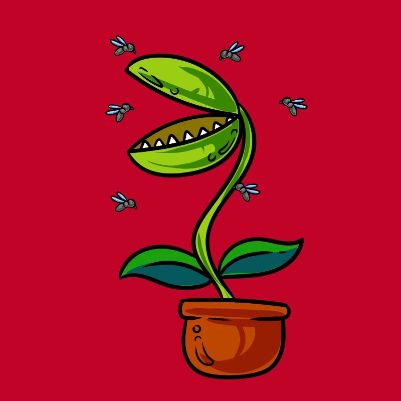 Venus Flytrap Plant