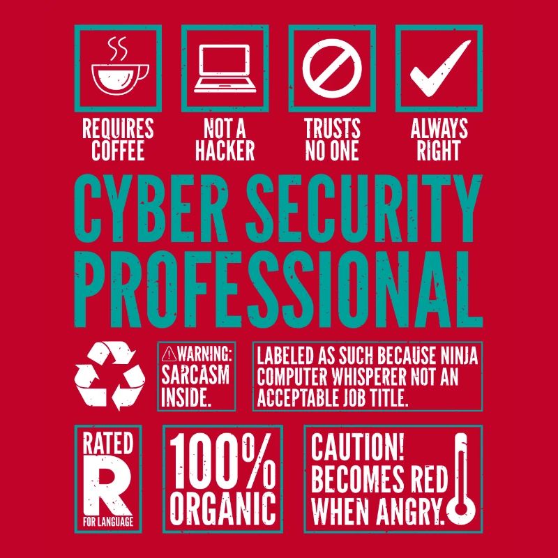 Cyber Security Professional Fakten Coding Hacker
