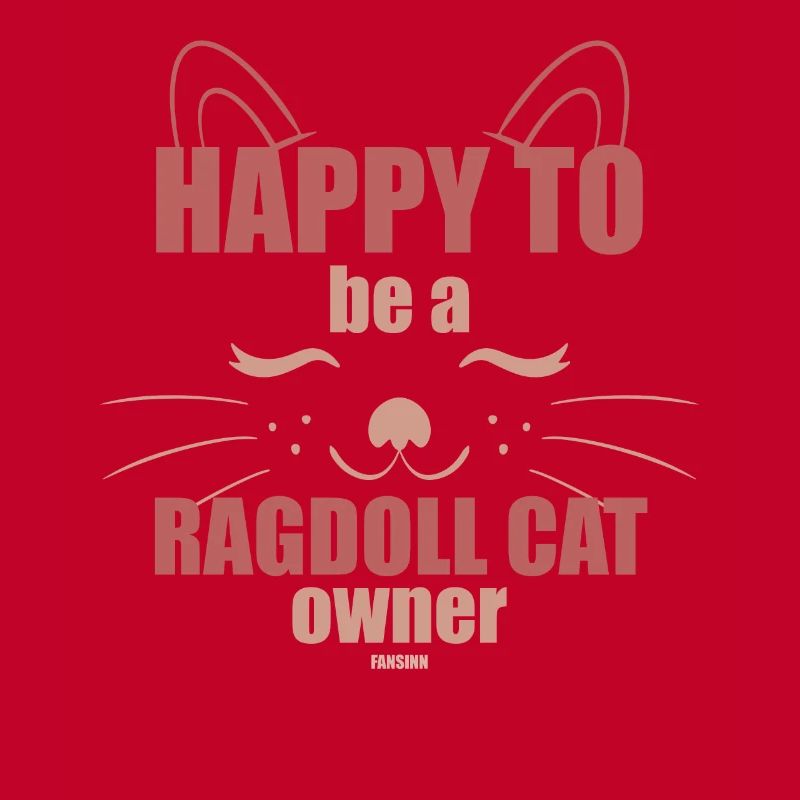 Ragdoll Cat Cat Lovers Chatons Chatons