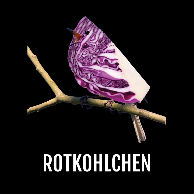 Rotkohlchen Meme Vogel Rotkelhlchen