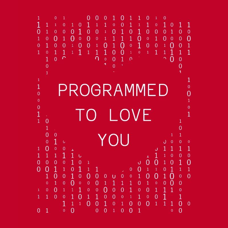 Developer Coder Programmer