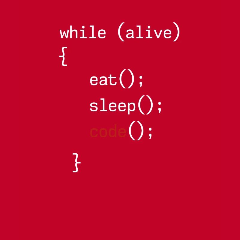 Administrator Coding Geek Programmer