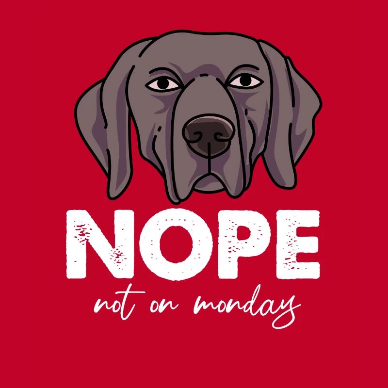 Weimaraner