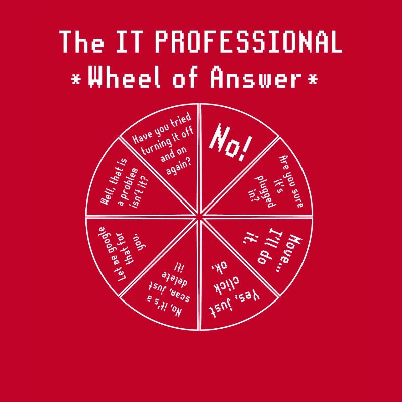 The IT Professional Computer Software Programmer