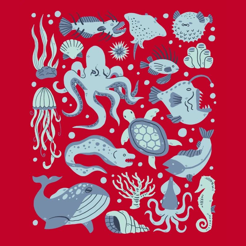 Deep Sea Fish Octopus Frogfish Lanternfish