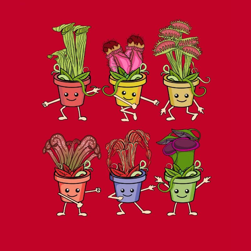 Carnivorous plants Venus flytrap
