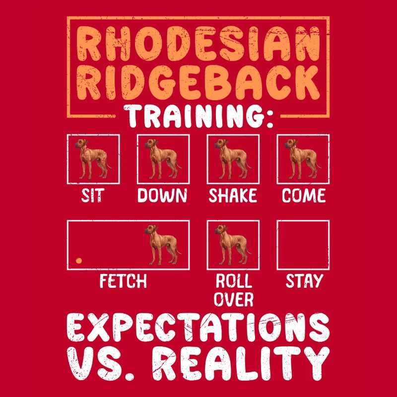 RHODESIAN RIDGEBACK TRAINING Lustiges Ridgeback