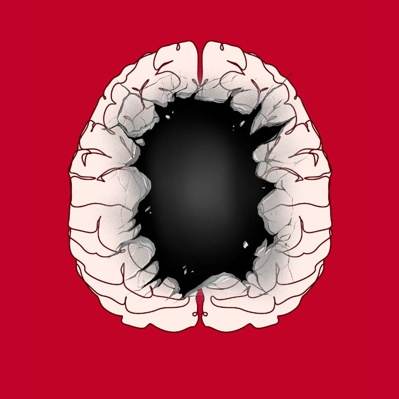 Brain Idiot Idiot Brain Brains Intelligence