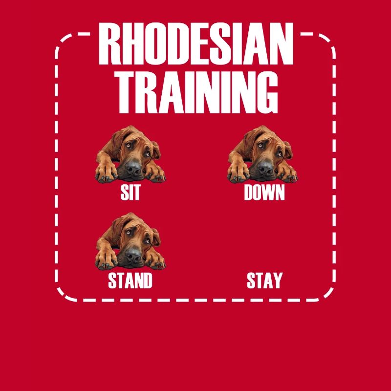 Rhodesian Training Rhodesian Ridgeback Besitzer