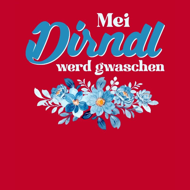Dirndl Replacement Outfit MEI DIRNDL WERD GWASCH