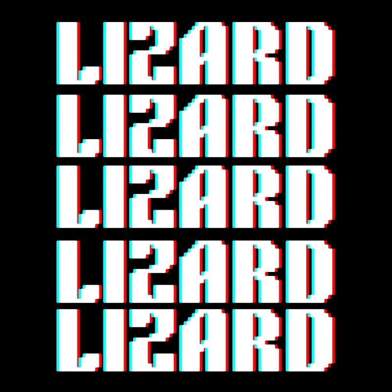 lizard 