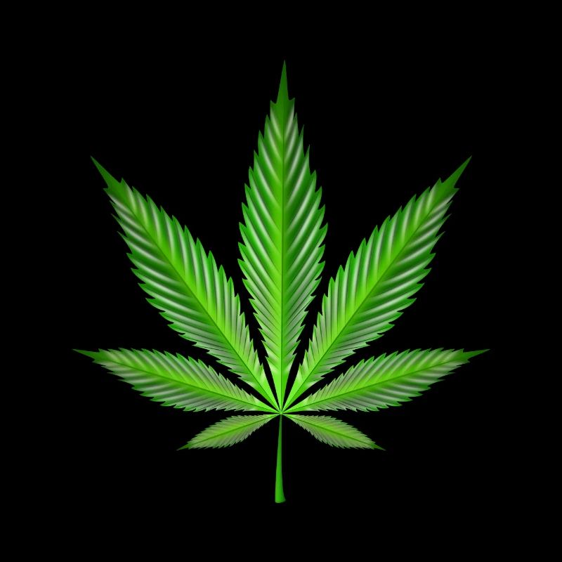 Cannabis leaf