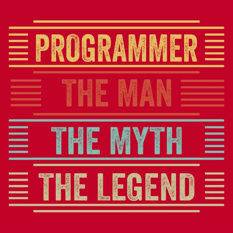 Programmeur développeur programmeur