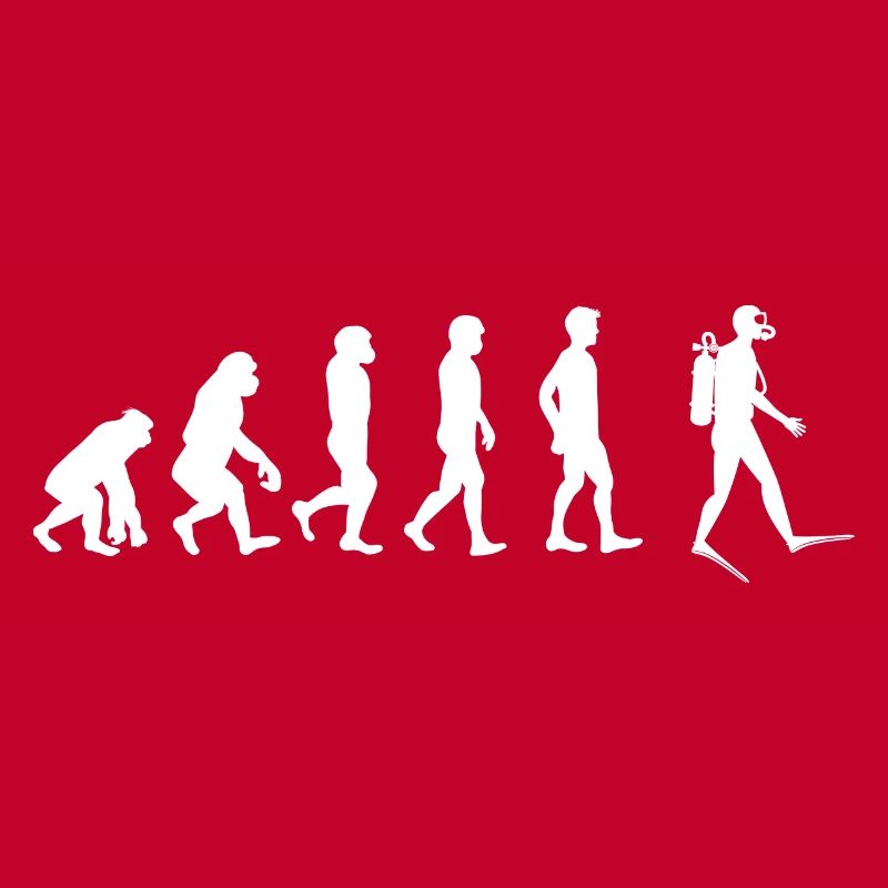 Évolution des plongeurs