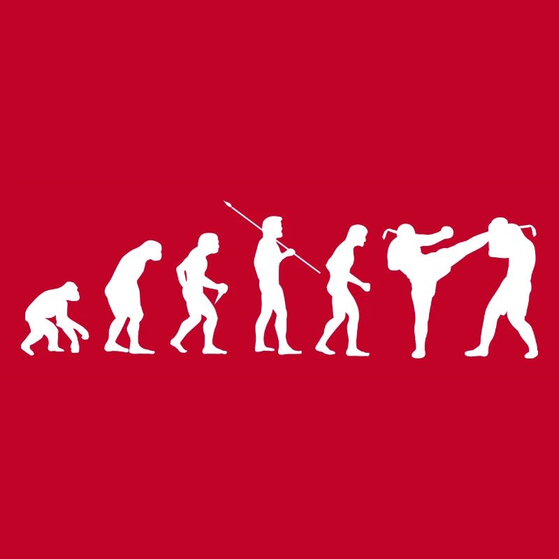 Evolution Kampfsport Karate Judo Kampfkunst Bjj