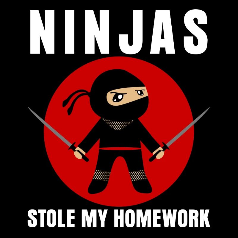 Ninja Homework School Ninjas