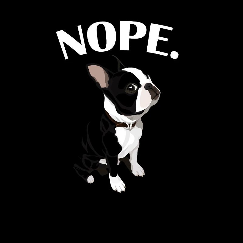Boston Terrier