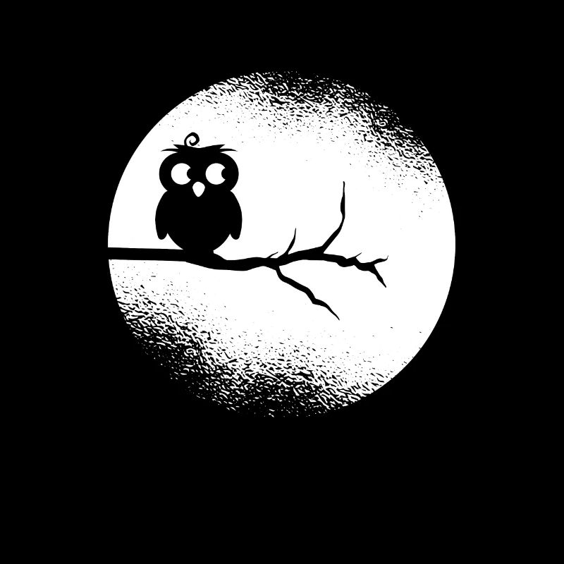 Eule Waldbewohner Eulen Vollmond