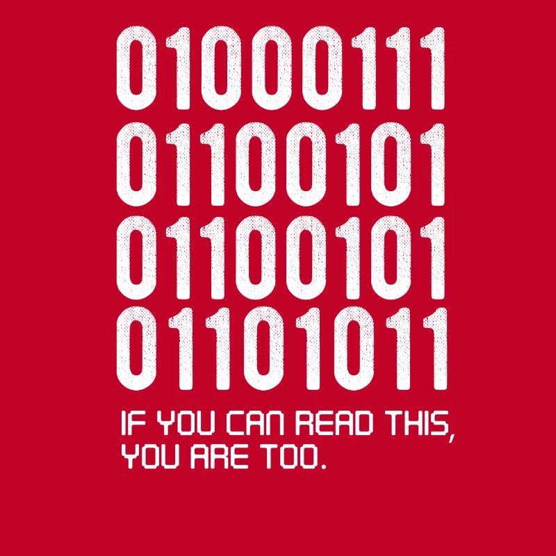 Funny Softaware developer gift, binary funny,