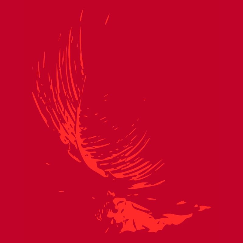 Abstract Design / Line / Pattern / Nature / Red